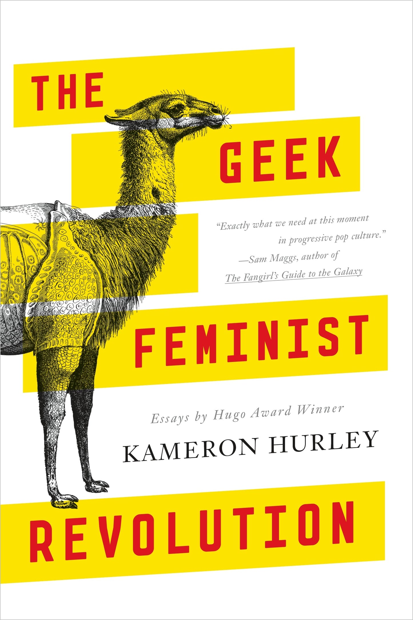 Geek Feminist Revolution: Essays book cover