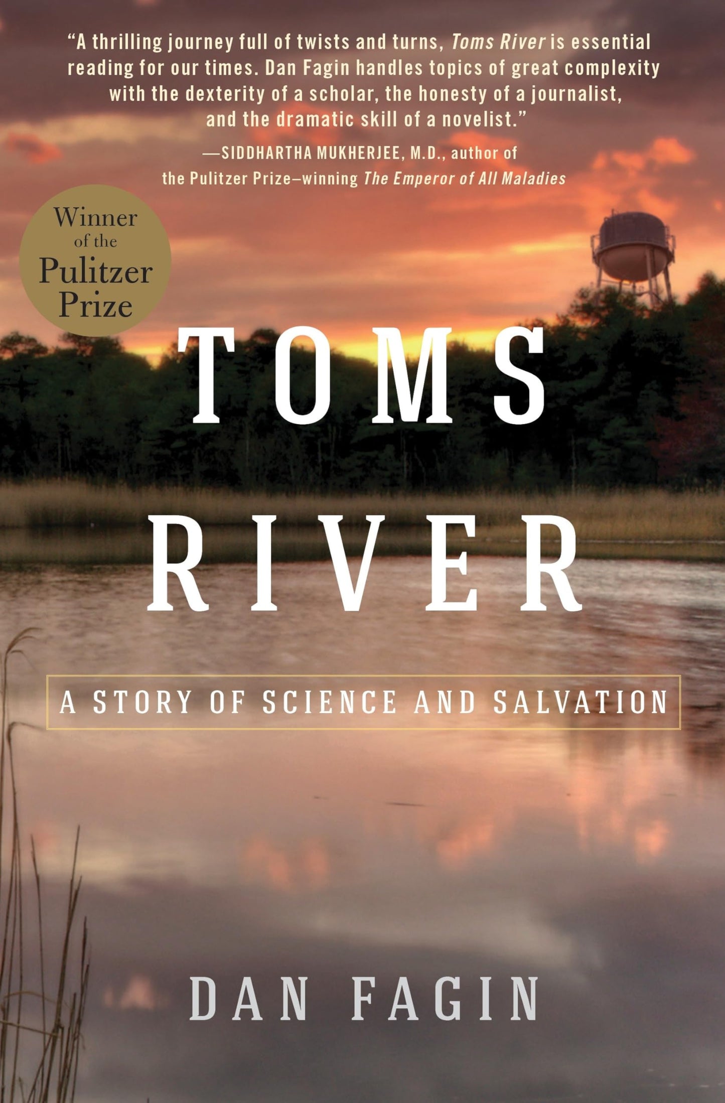Toms River (Pulitzer Prize Winner): A Story of Science and Salvation book cover