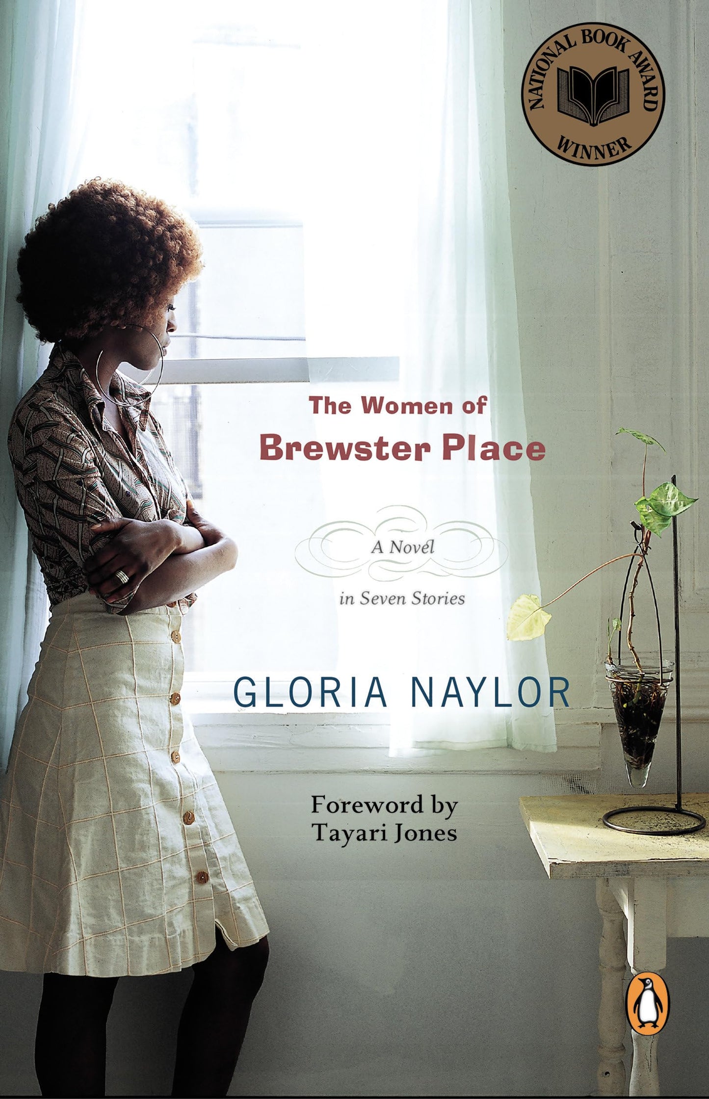 Women of Brewster Place book cover