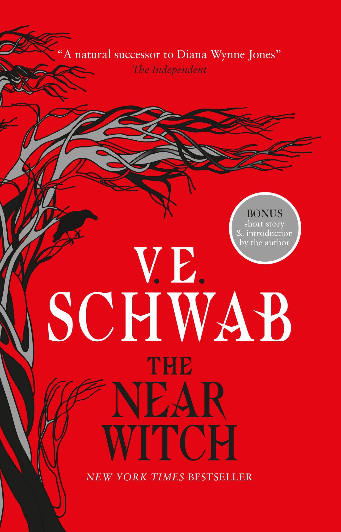 Near Witch book cover
