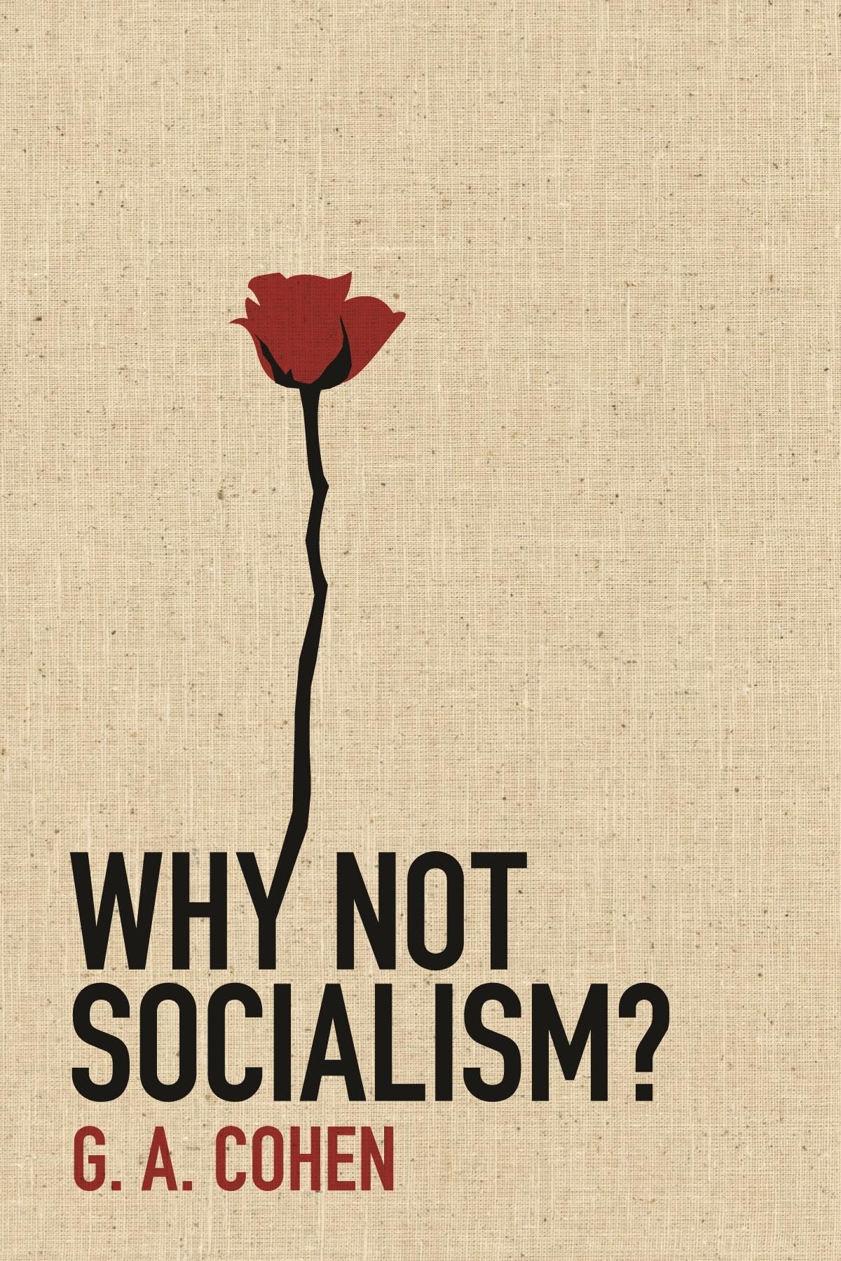 Why Not Socialism? book cover