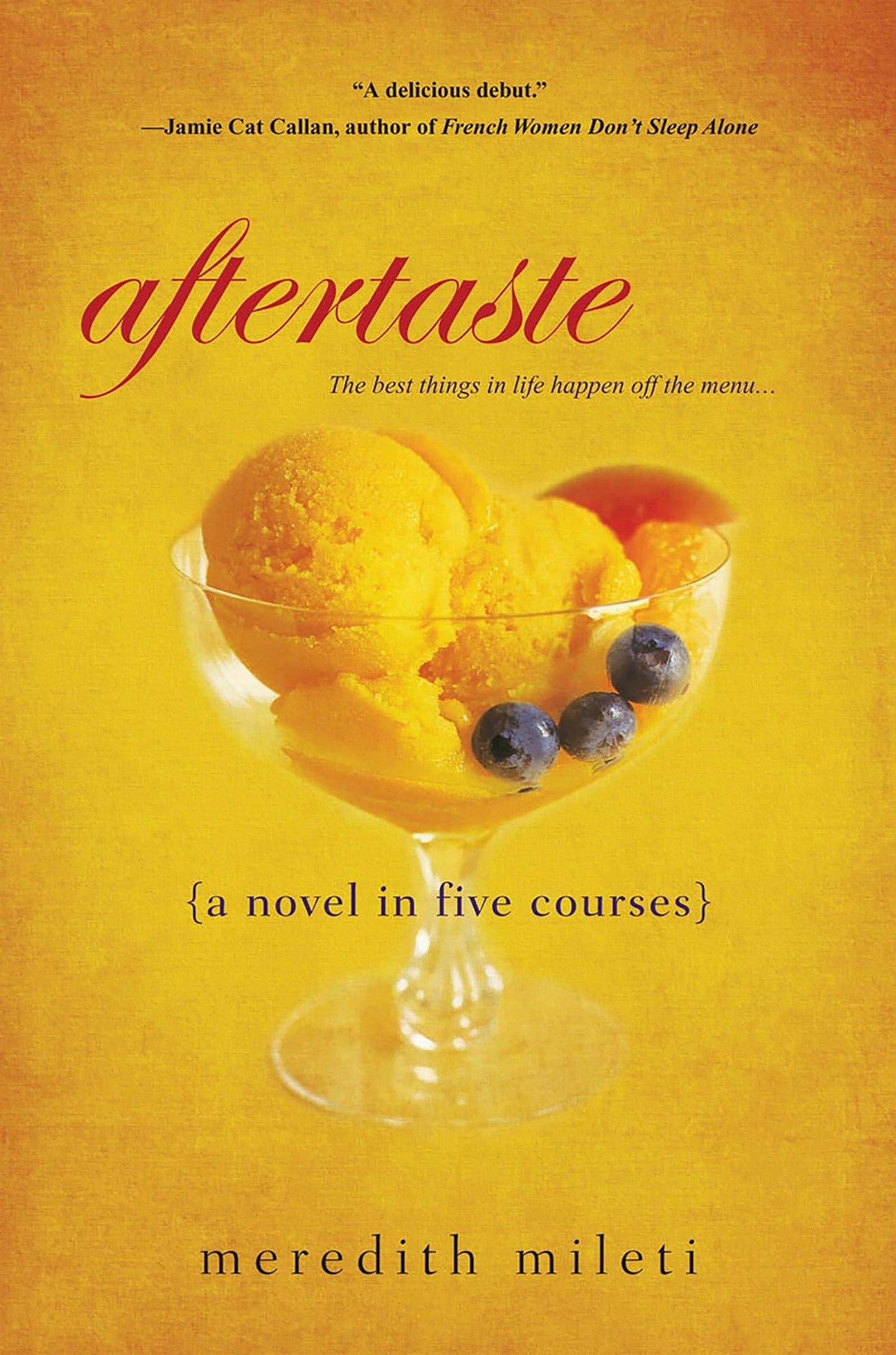 Aftertaste book cover
