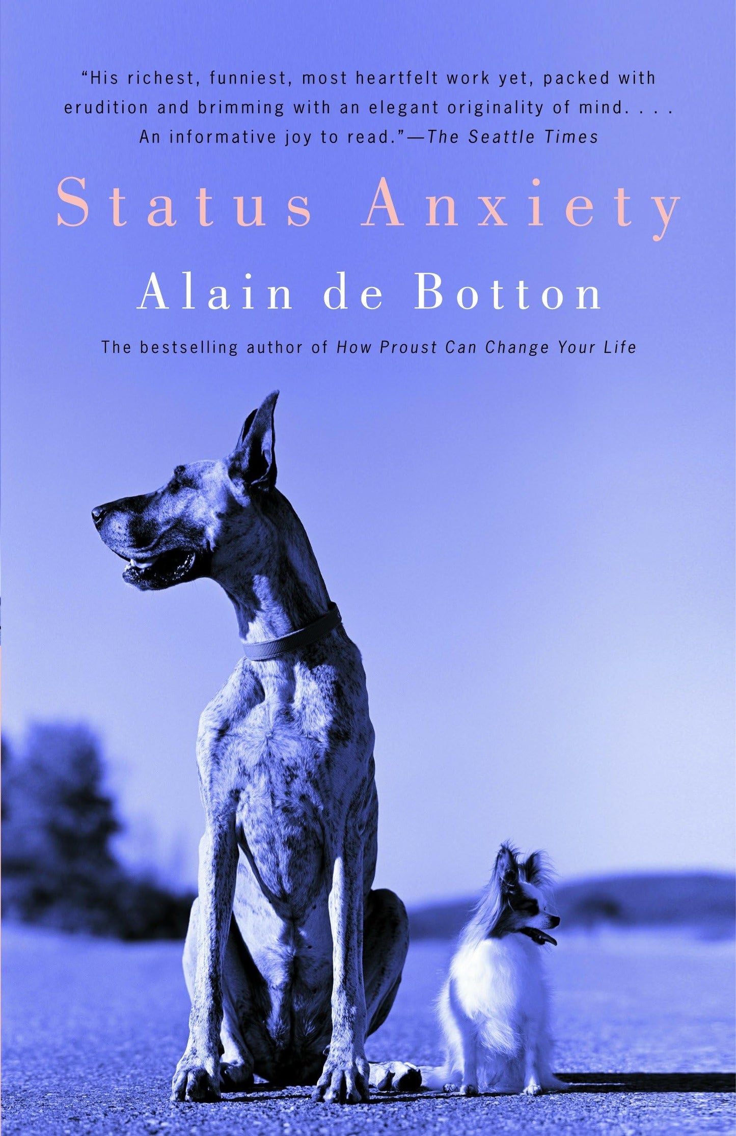 Status Anxiety book cover