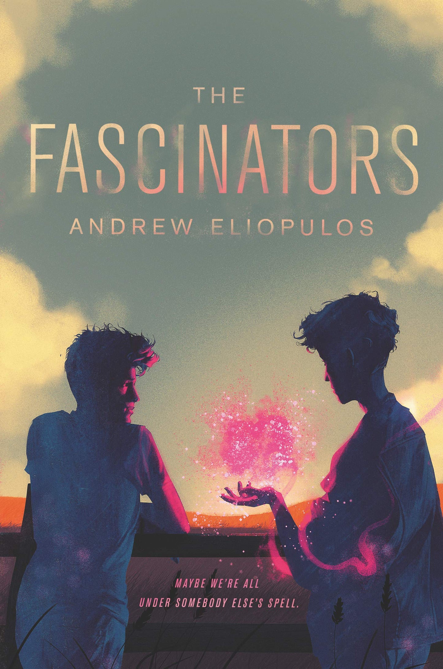 Fascinators book cover