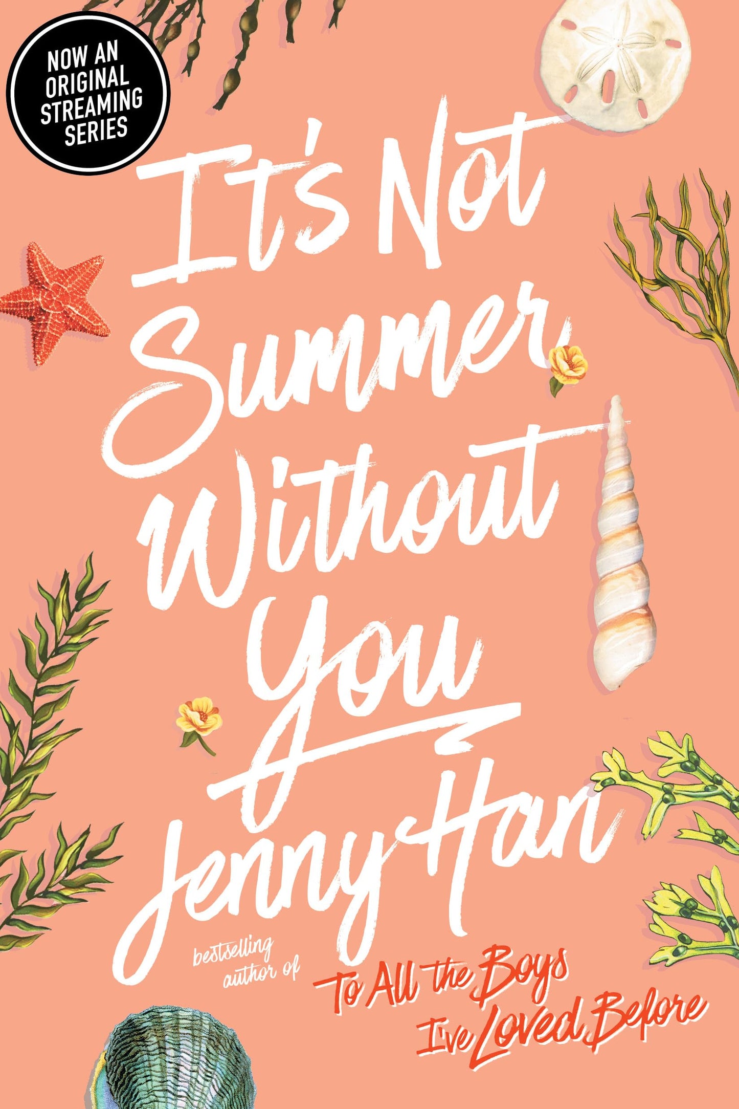 It's Not Summer Without You (Reprint) book cover