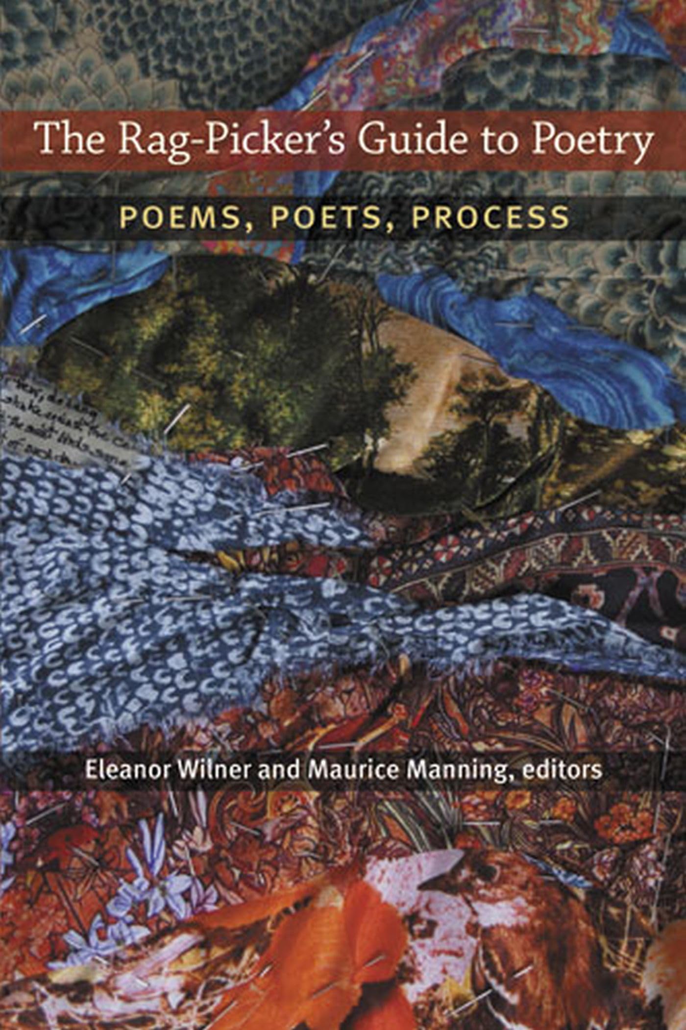 Rag-Picker's Guide to Poetry: Poems, Poets, Process book cover