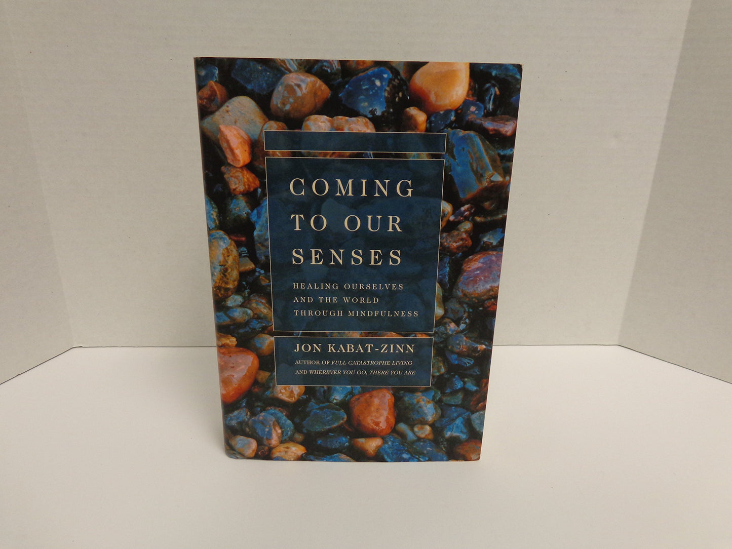 Coming to Our Senses: Healing Ourselves and the World Through Mindfulness book cover
