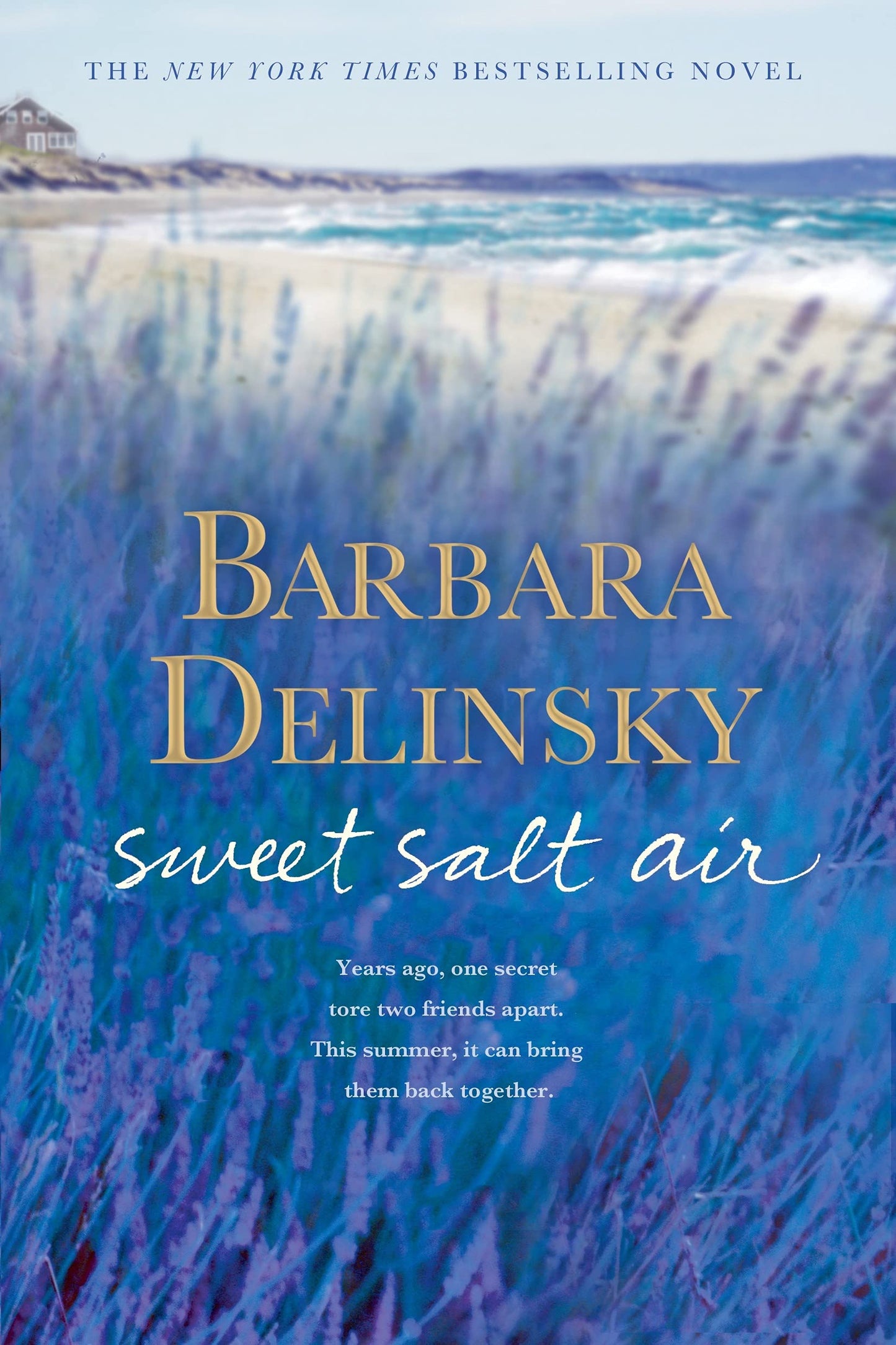 Sweet Salt Air book cover