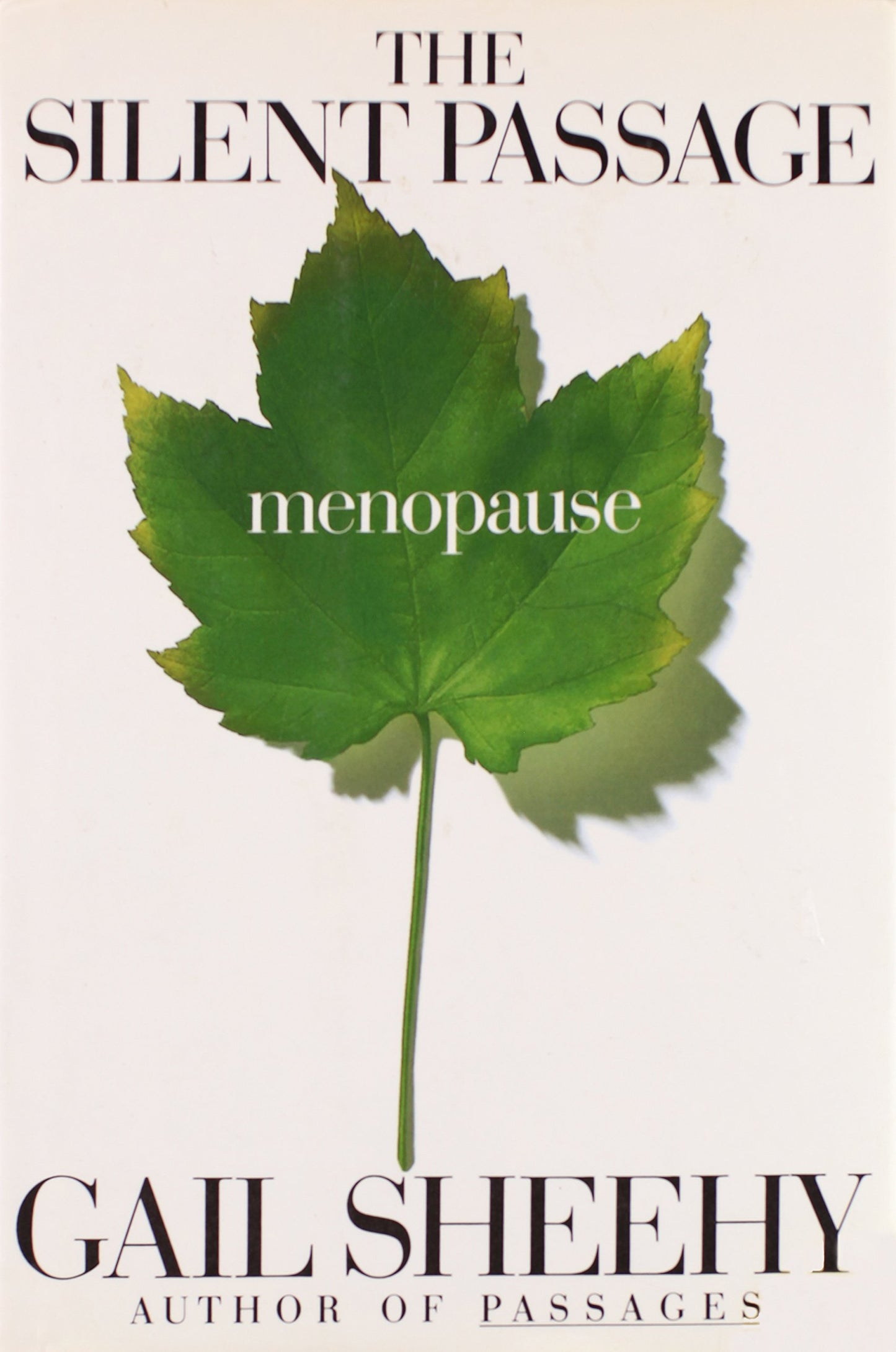 Silent Passage book cover
