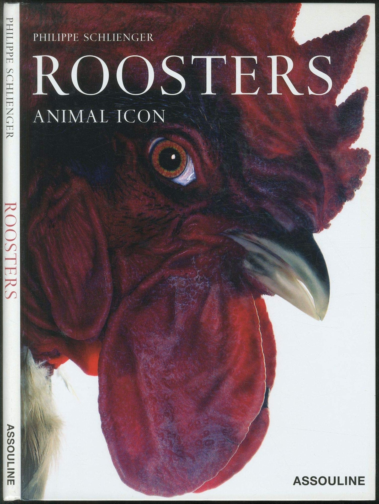Roosters book cover