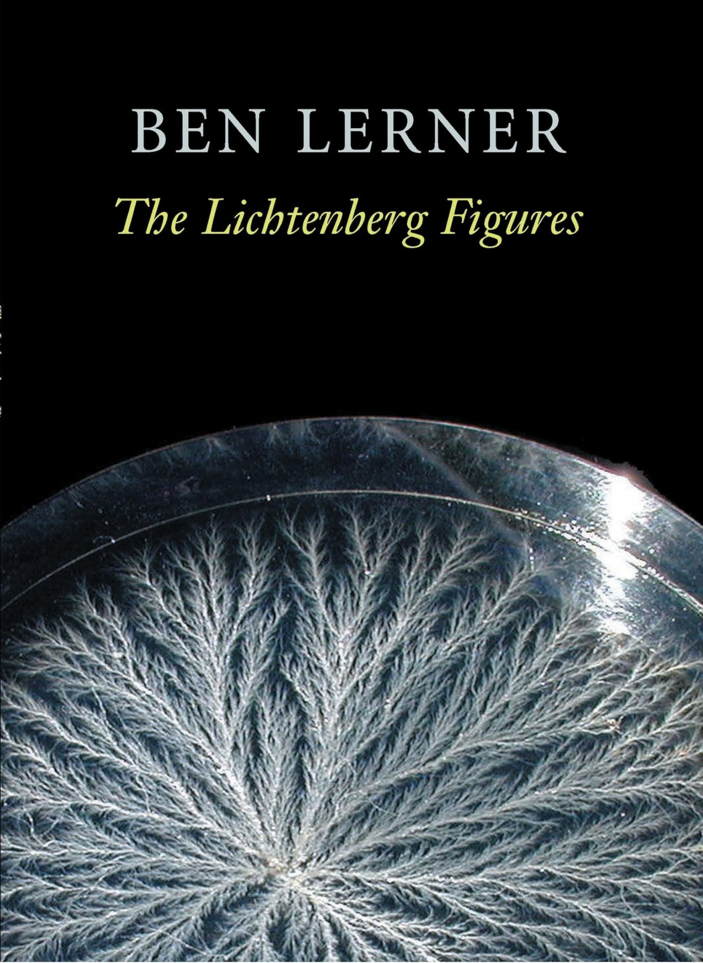 The Lichtenberg Figures book cover