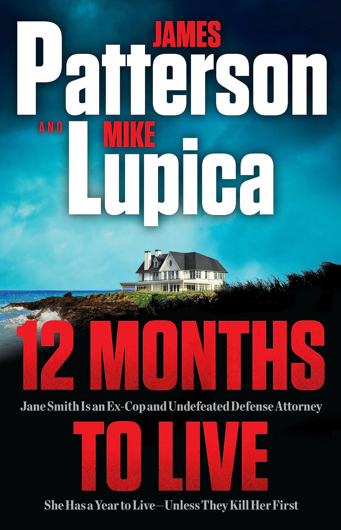 12 Months to Live: A Jane Smith Thriller book cover