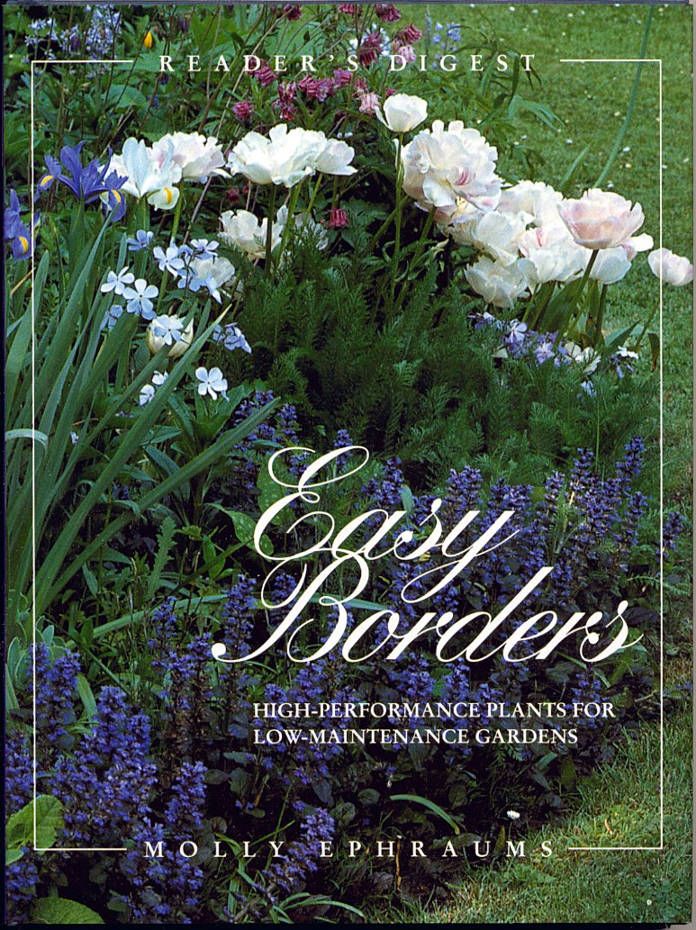 Easy Borders book cover
