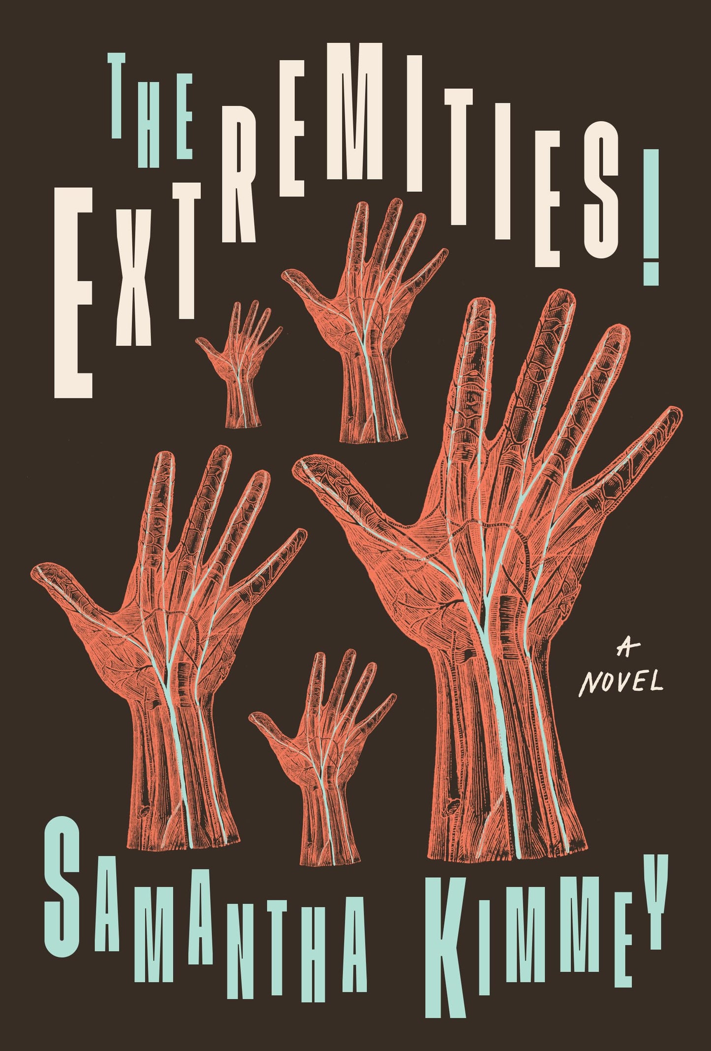 The Extremities! book cover