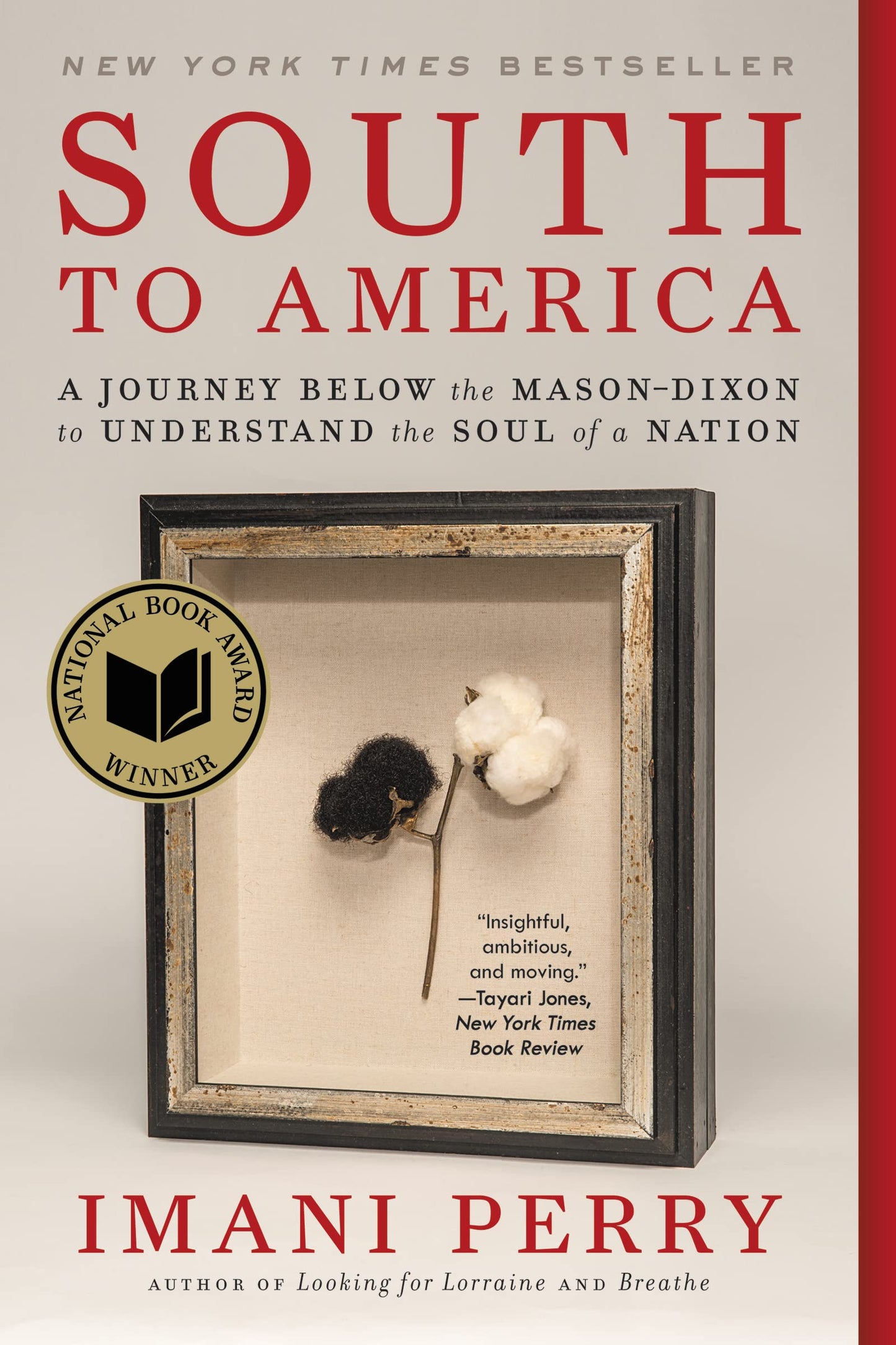 South to America: A Journey Below the Mason-Dixon to Understand the Soul of a Nation book cover