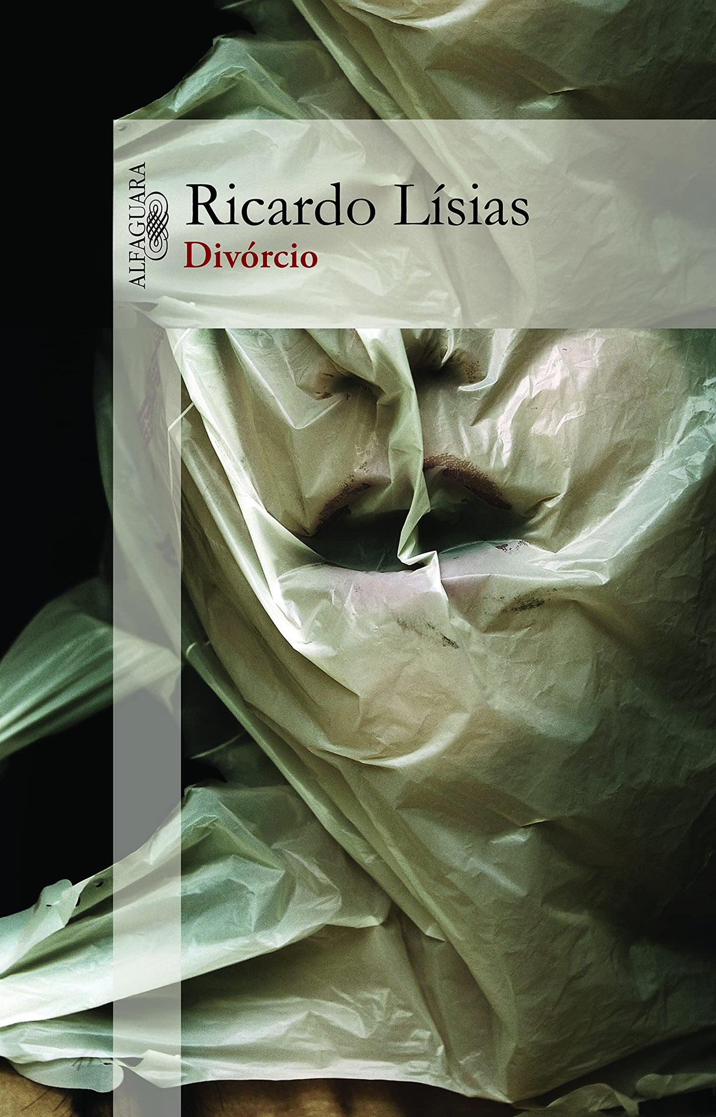 Divorcio (Em Portugues do Brasil) book cover