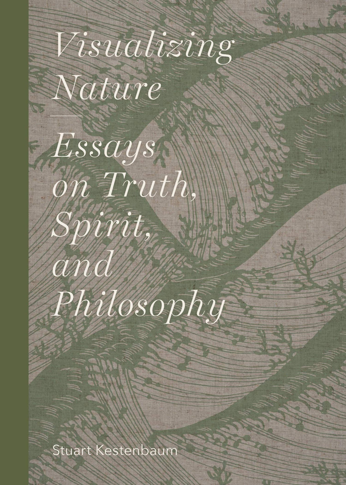 Visualizing Nature: Essays on Truth, Spririt, and Philosophy book cover