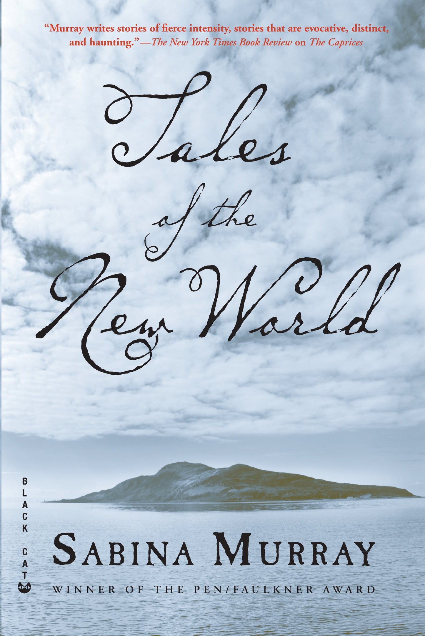 Tales of the New World: Stories book cover
