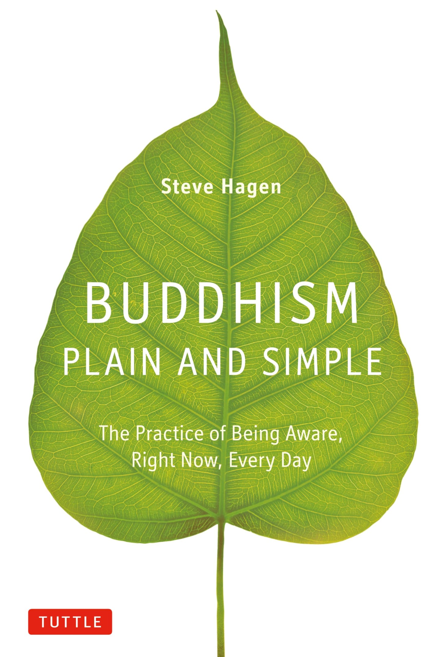 Buddhism Plain and Simple: The Practice of Being Aware, Right Now, Every Day book cover