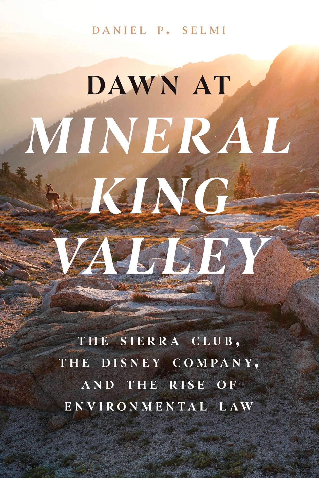 Dawn at Mineral King Valley: The Sierra Club, the Disney Company, and the Rise of Environmental Law book cover
