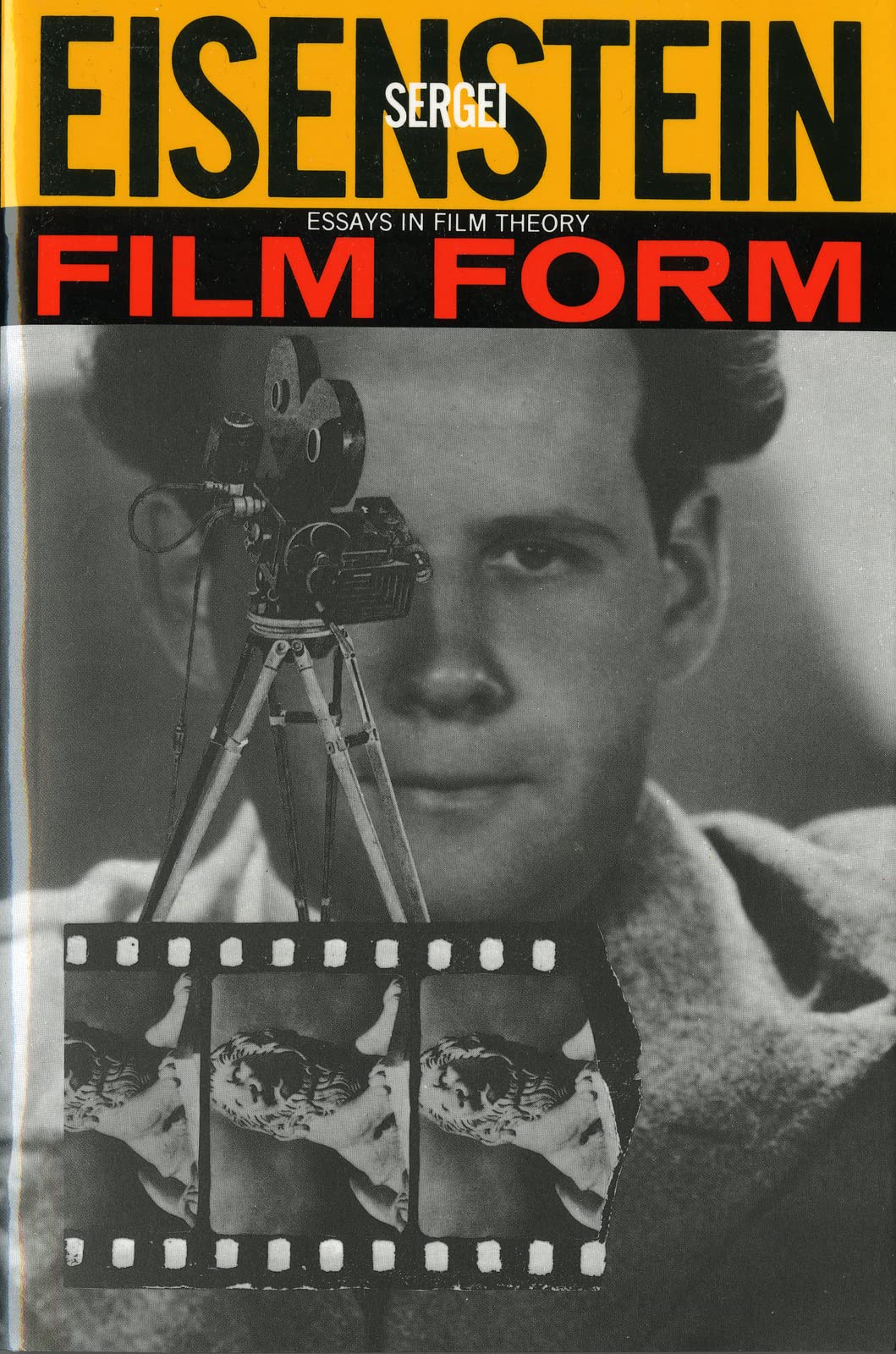 Film Form: Essays in Film Theory book cover