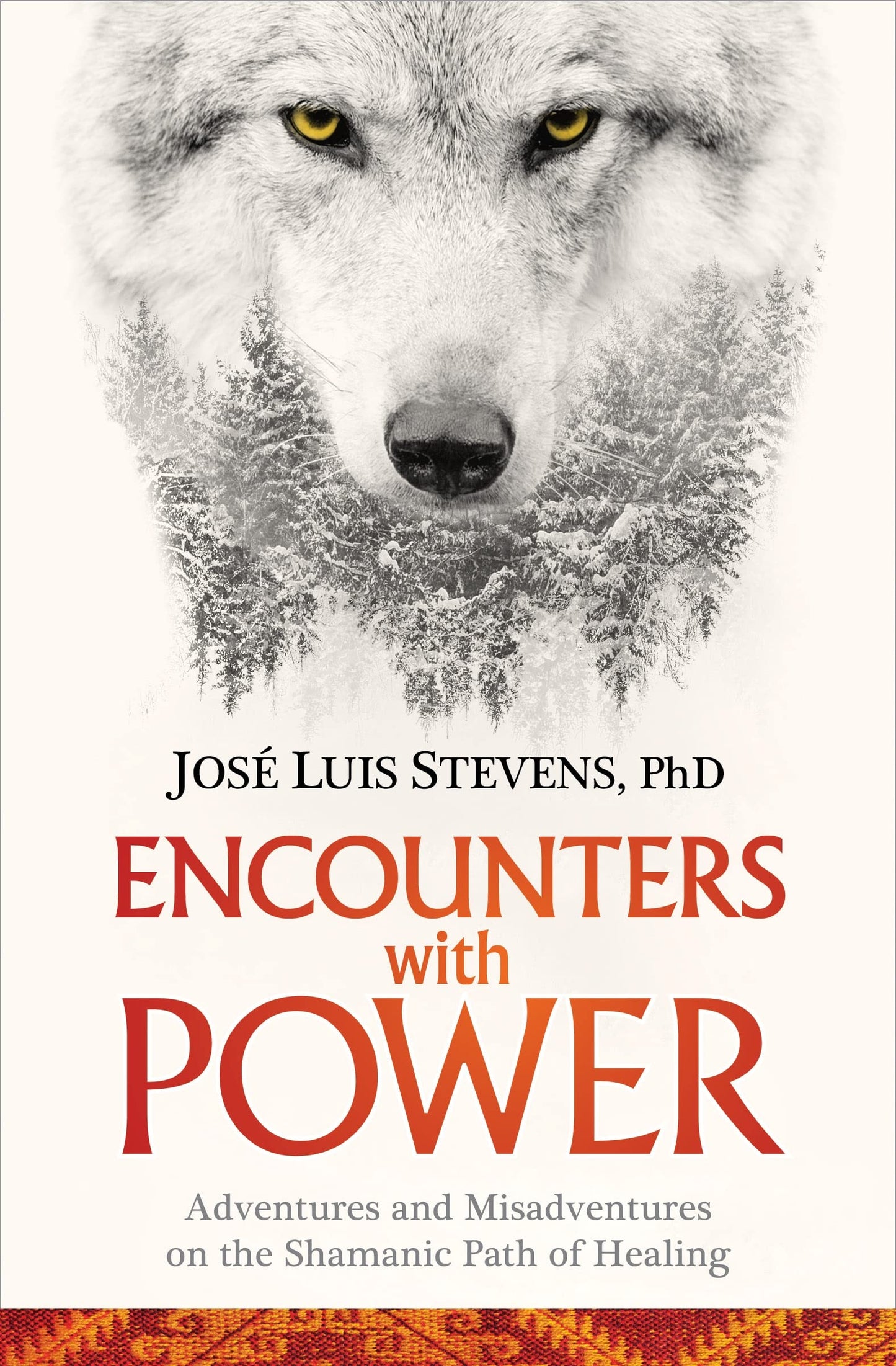 Encounters with Power: Adventures and Misadventures on the Shamanic Path of Healing book cover