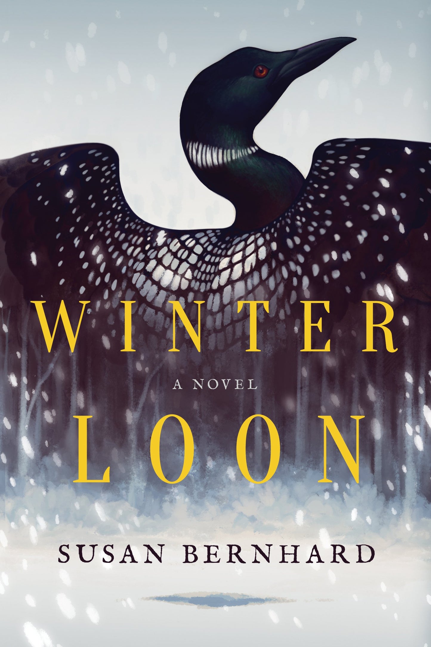 Winter Loon book cover
