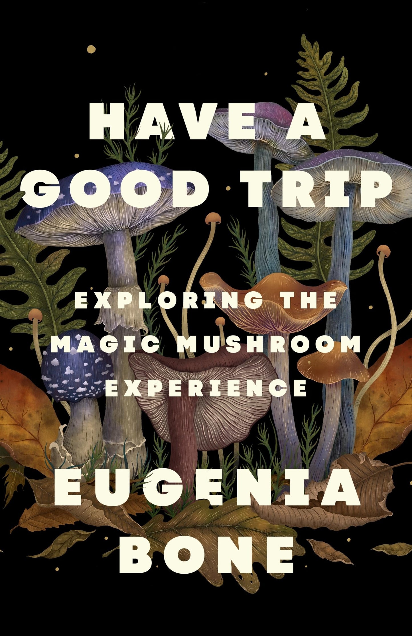 Have a Good Trip book cover