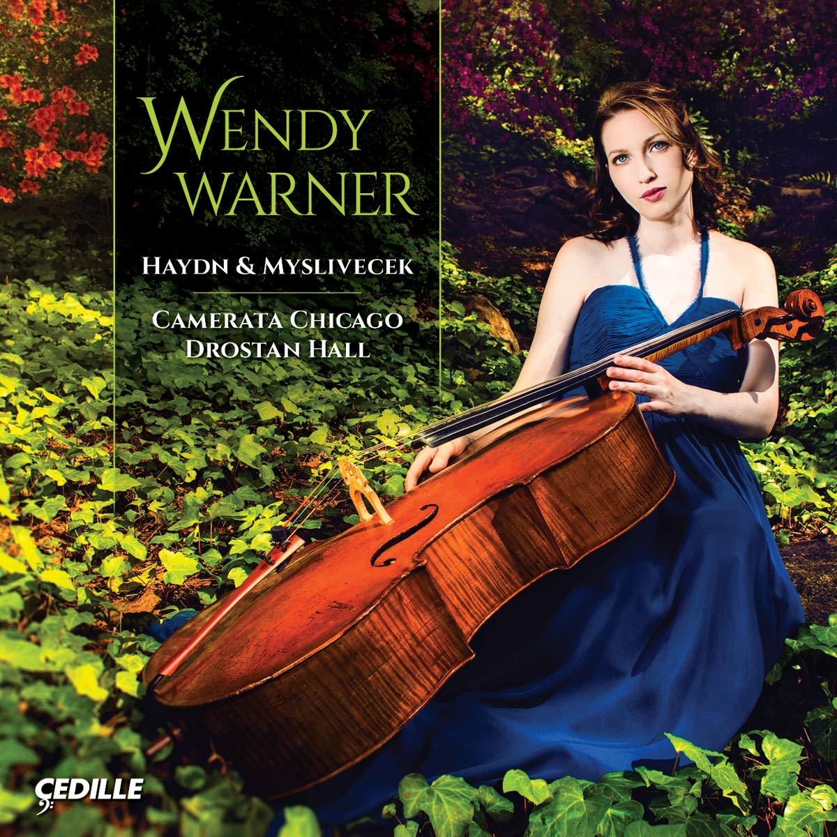 Cello Concertos book cover
