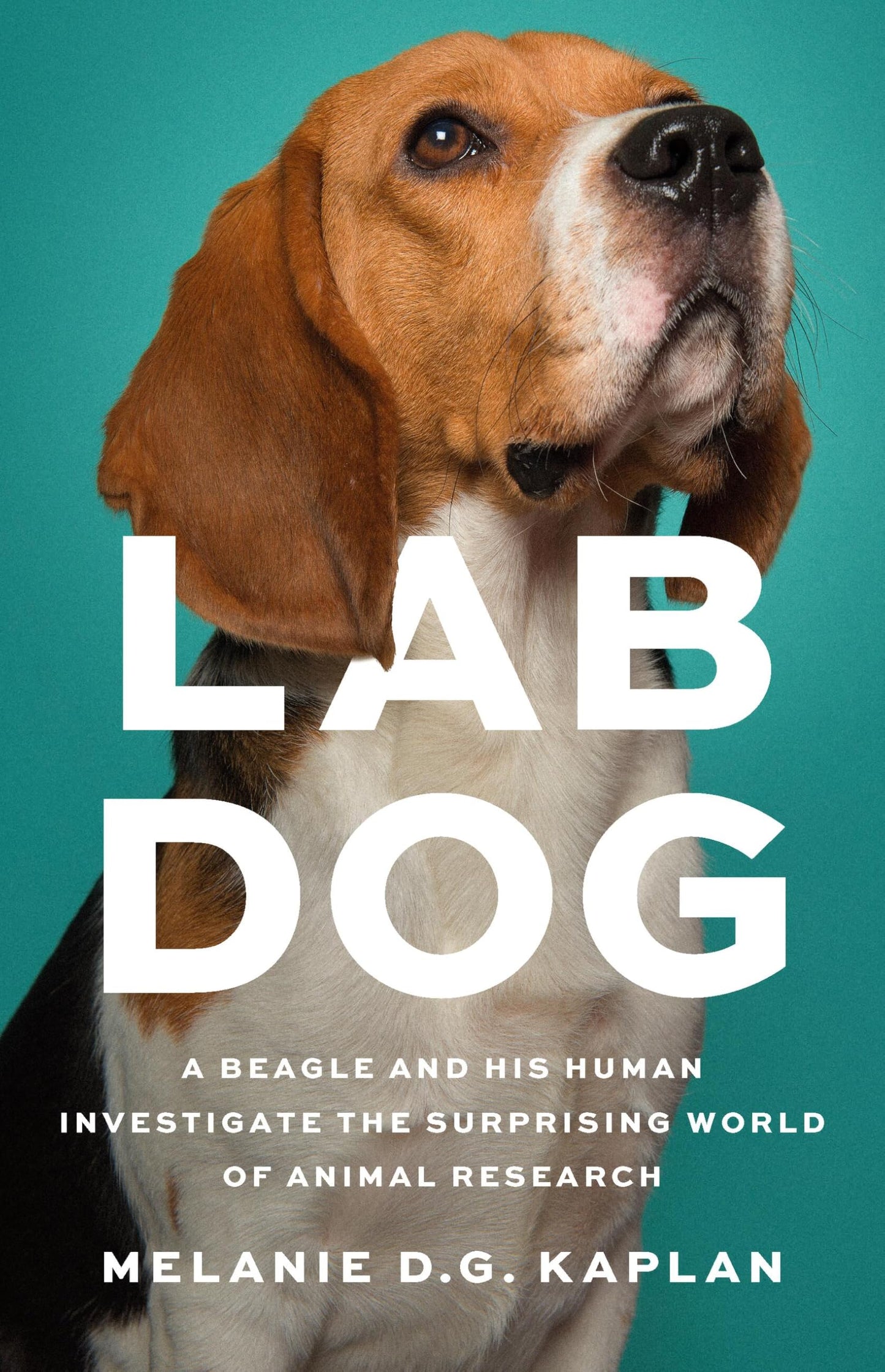 Lab Dog book cover
