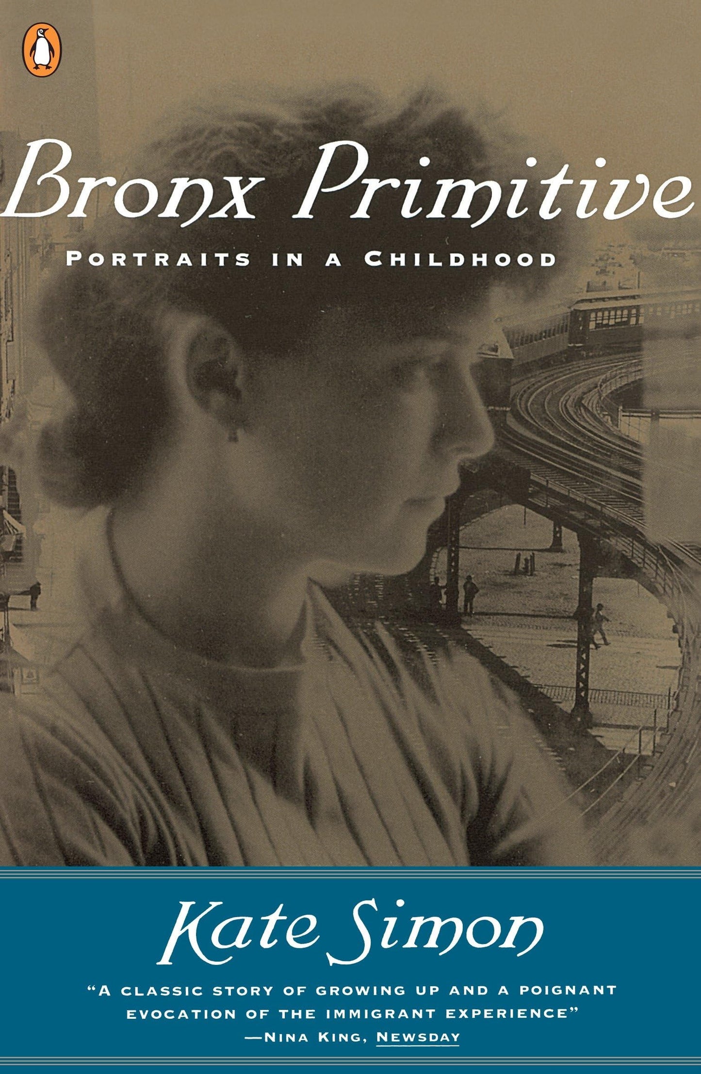 Bronx Primitive: Portraits in a Childhood book cover