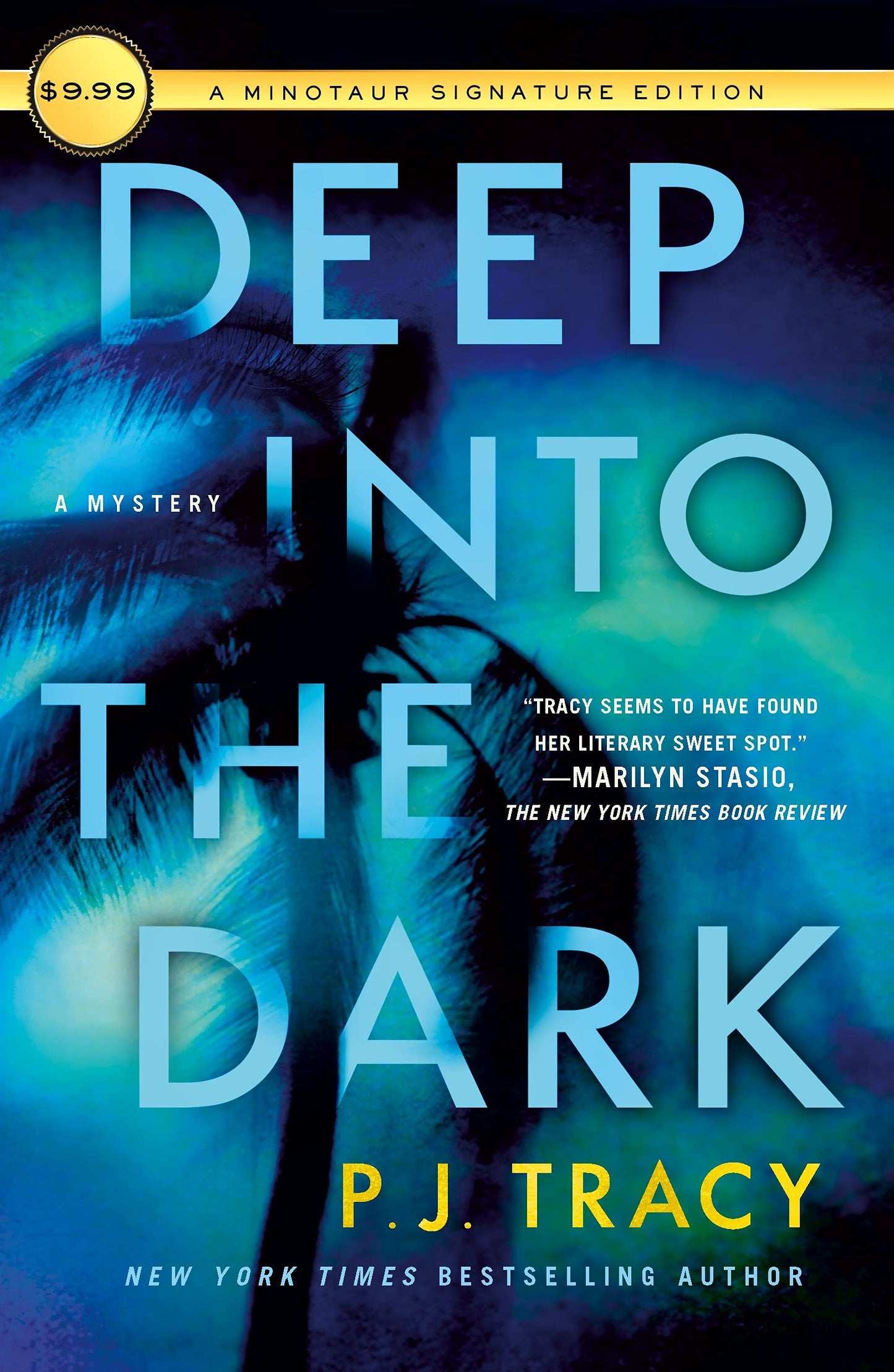 Deep Into the Dark: A Mystery book cover