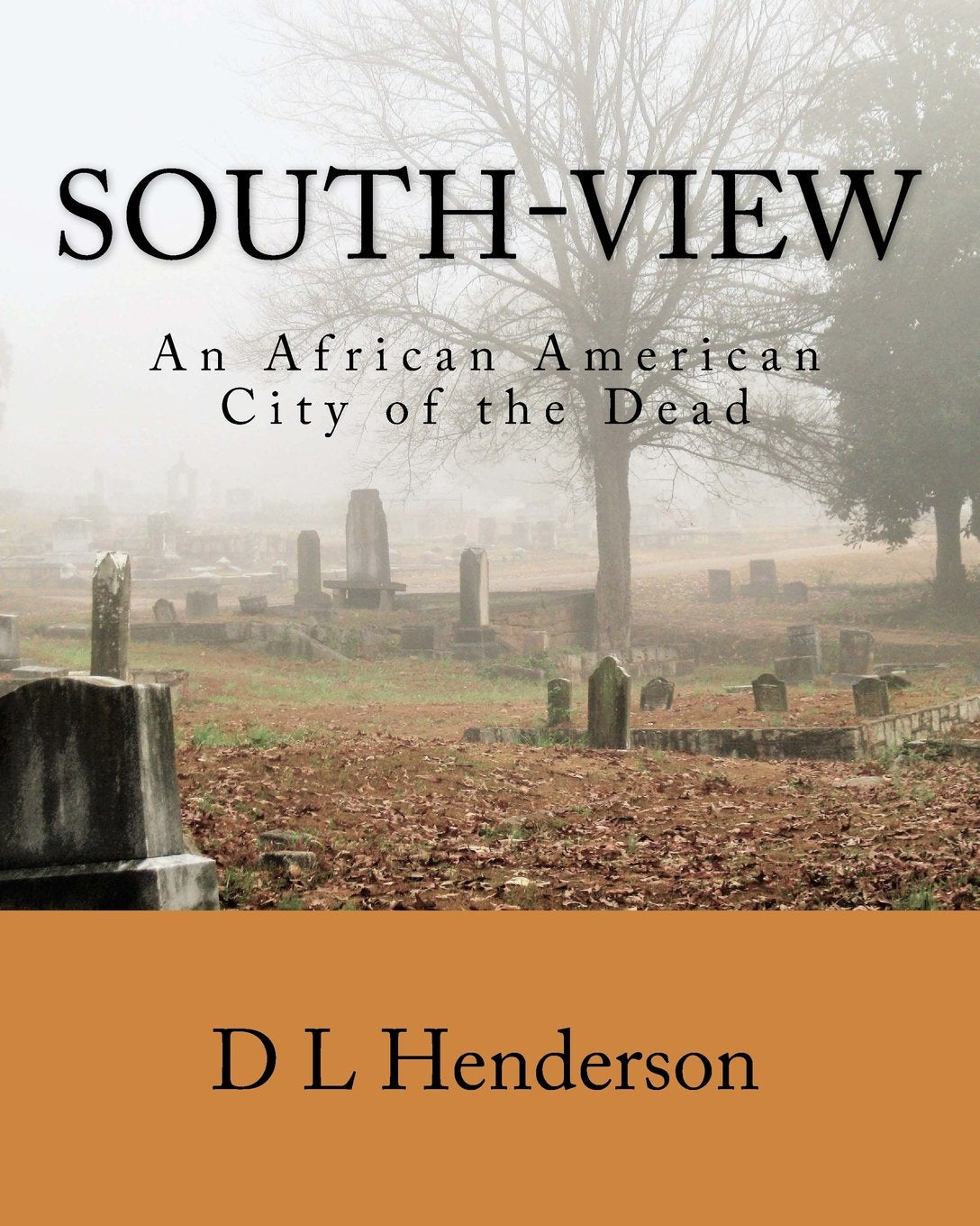 South-View: An African American City of the Dead book cover