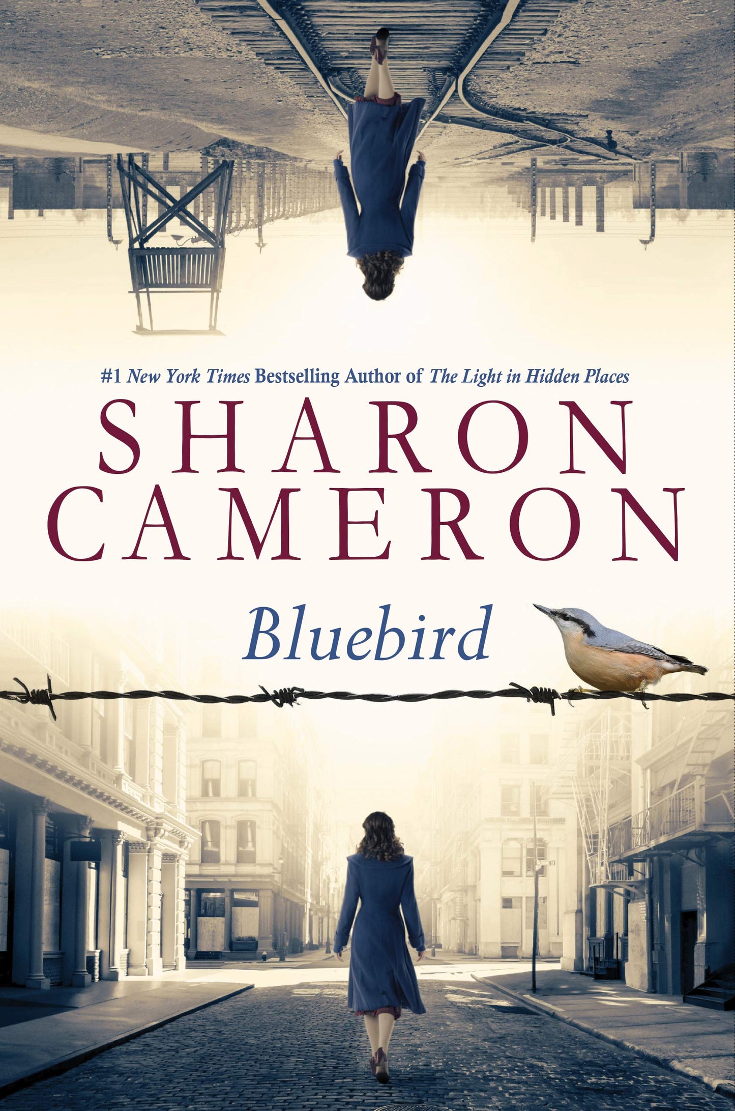 Bluebird book cover