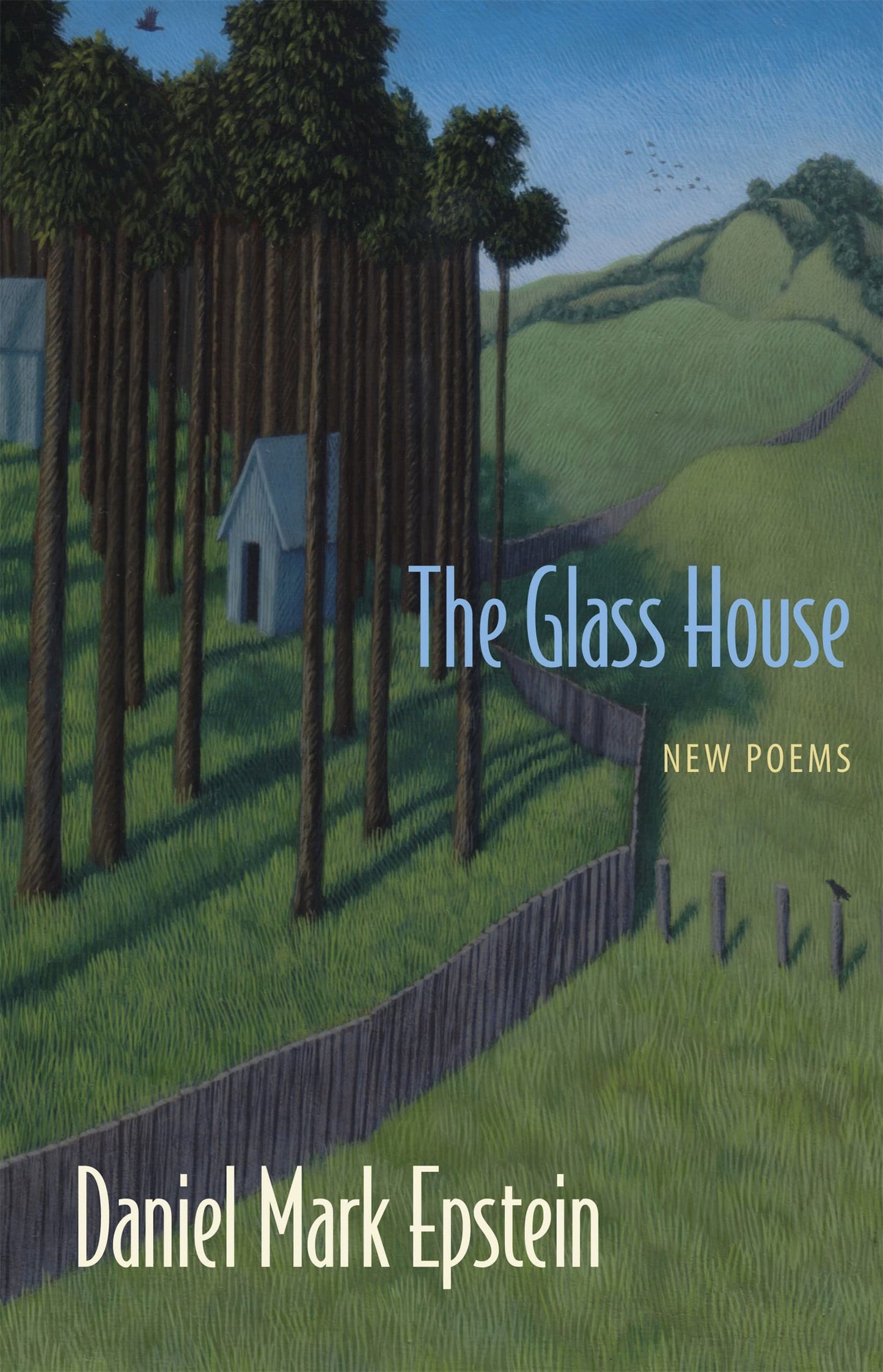 Glass House: New Poems book cover