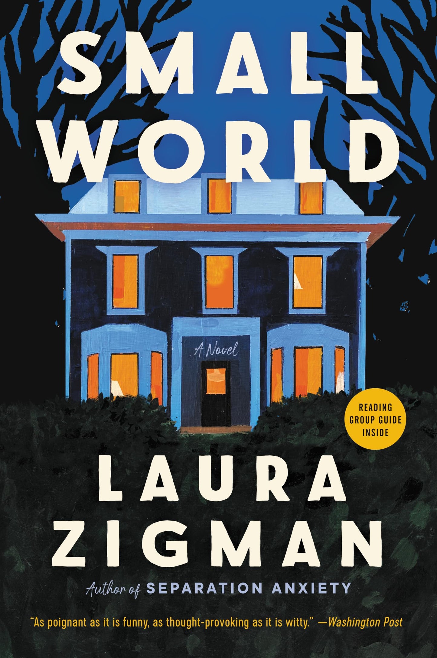 Small World book cover