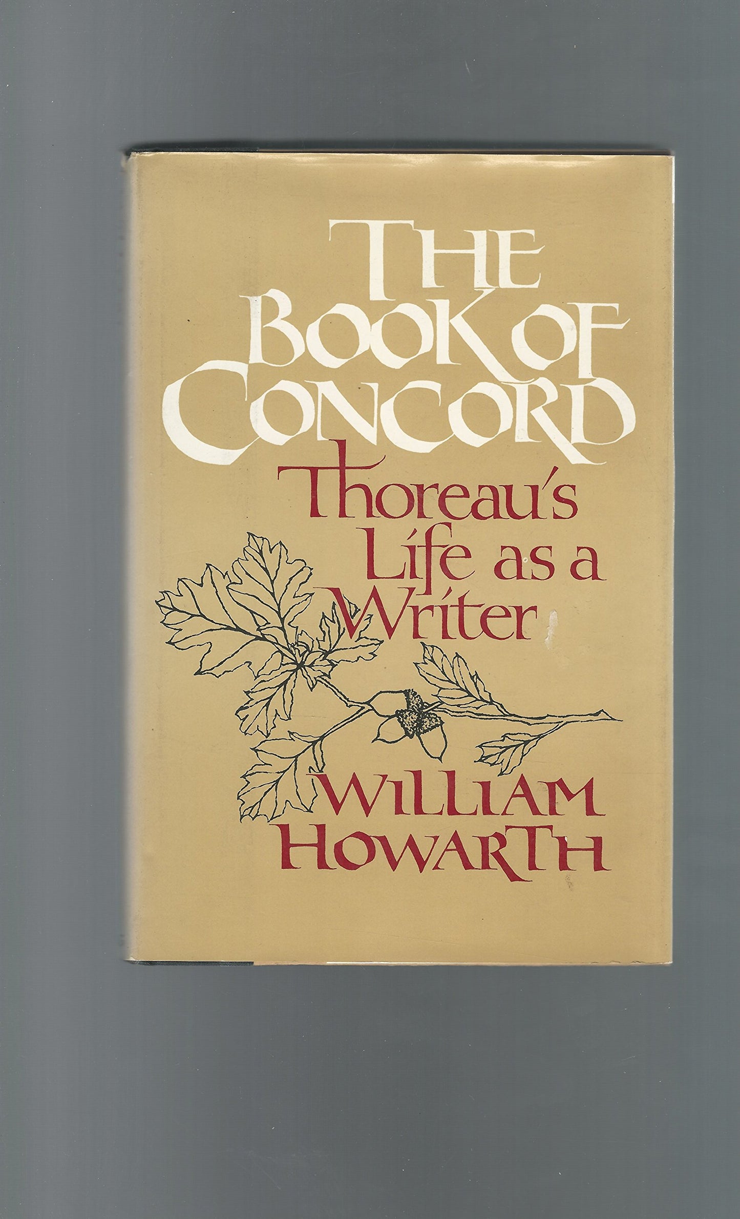 Book of Concord book cover