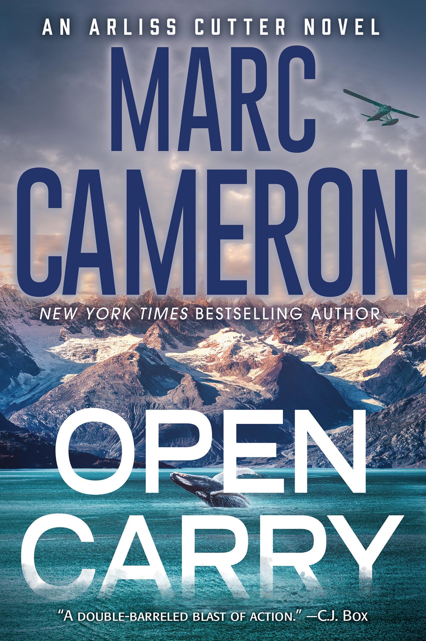 Open Carry book cover