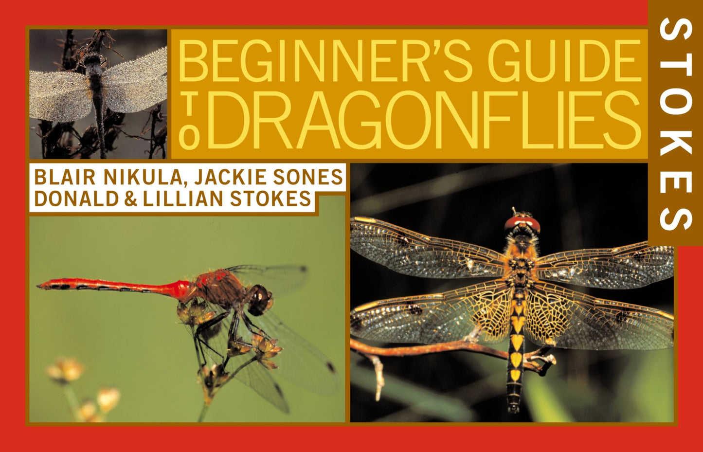 Stokes Beginner's Guide to Dragonflies book cover