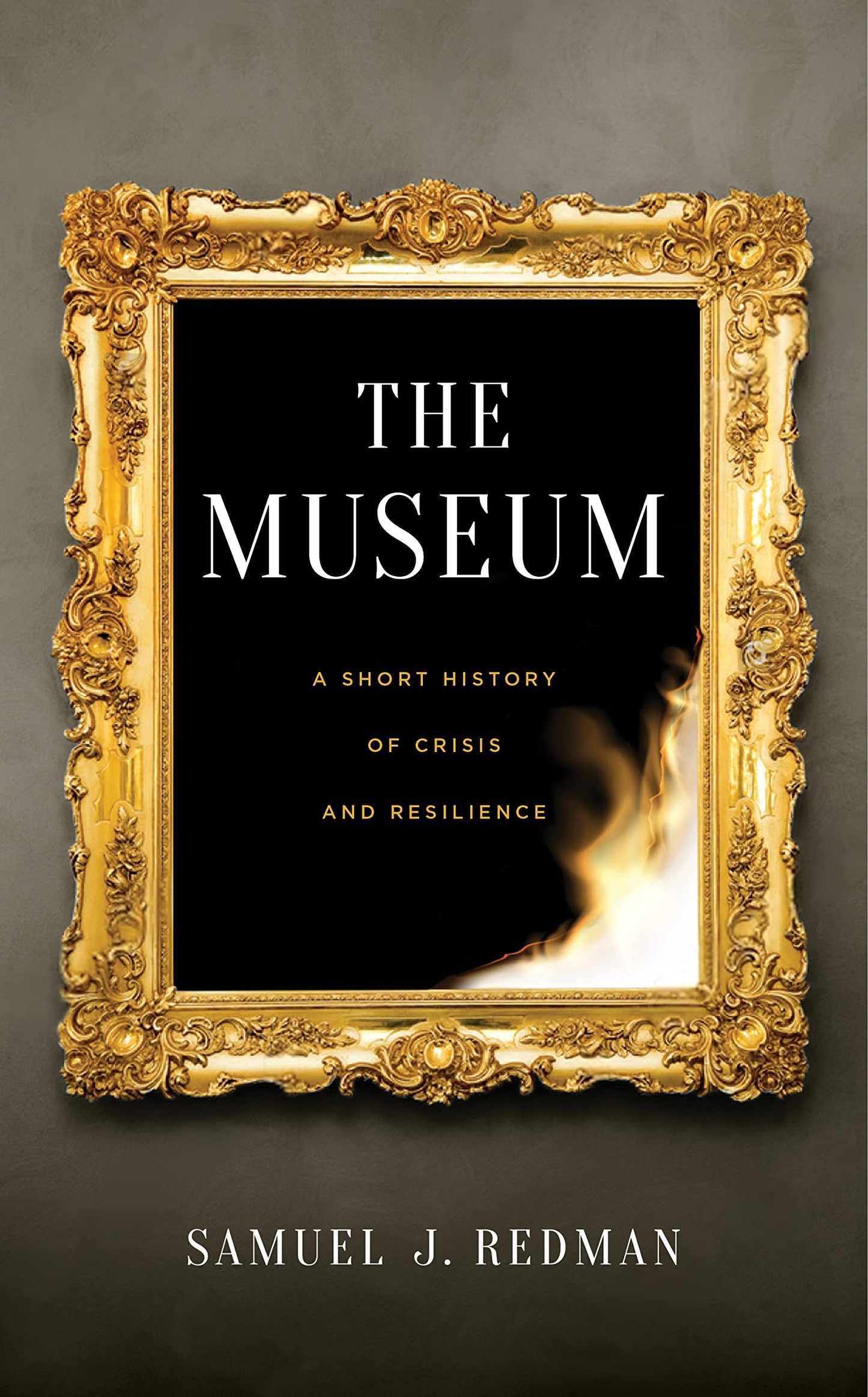 Museum: A Short History of Crisis and Resilience book cover
