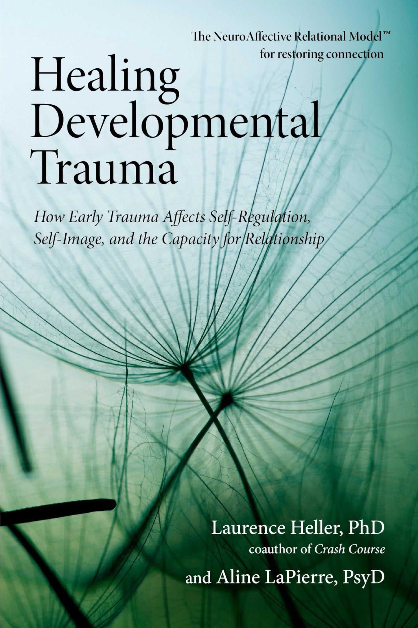 Healing Developmental Trauma: How Early Trauma Affects Self-Regulation, Self-Image, and the Capacity for Relationship book cover