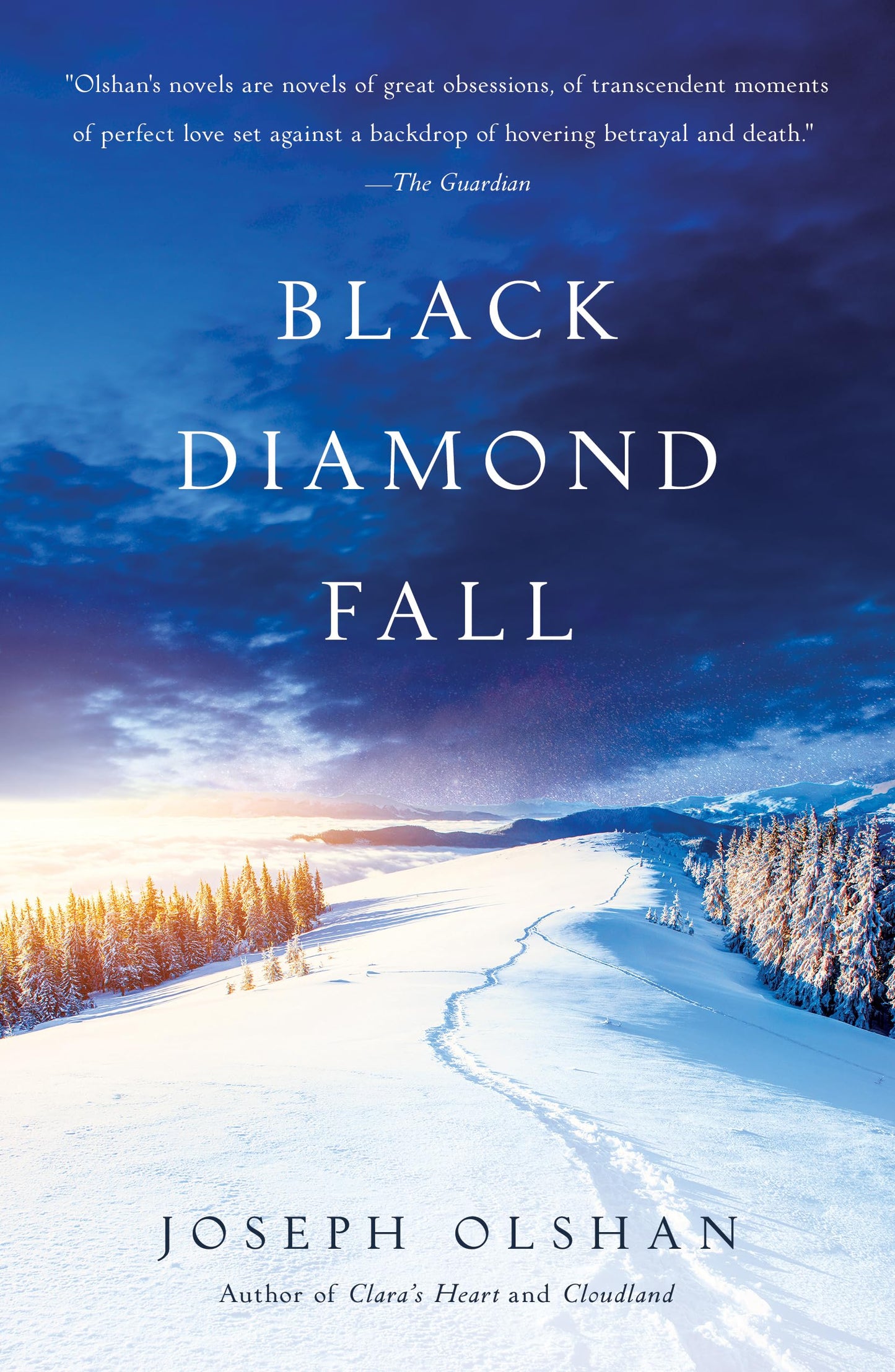 Black Diamond Fall book cover