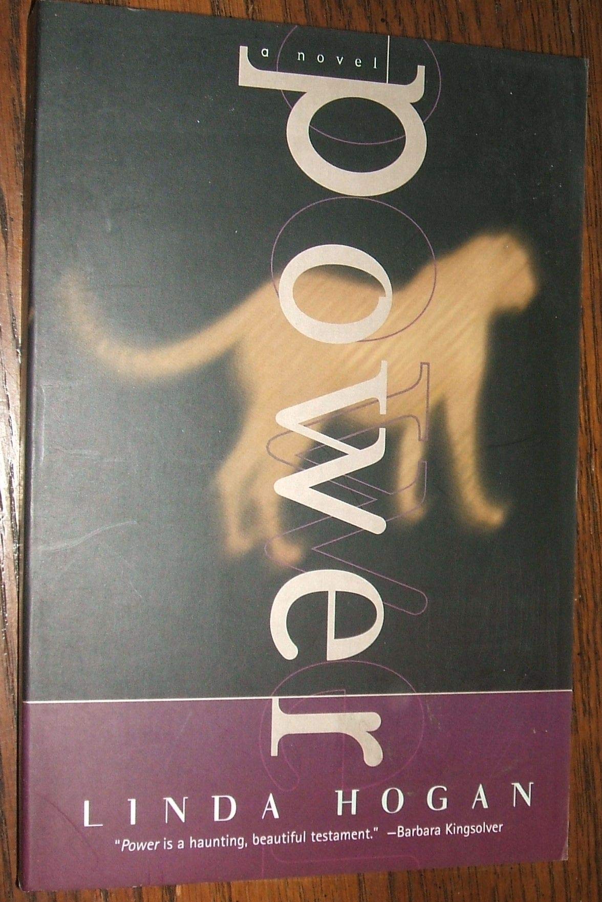 Power: A Novel book cover