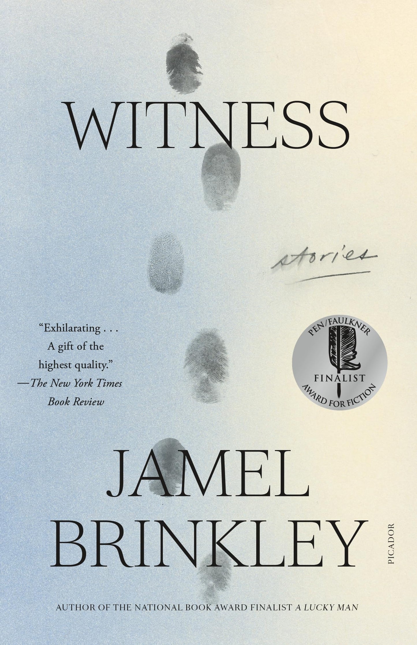 Witness: Stories book cover