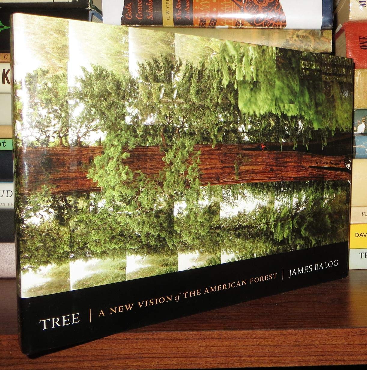 Tree: A New Vision of the American Forest book cover
