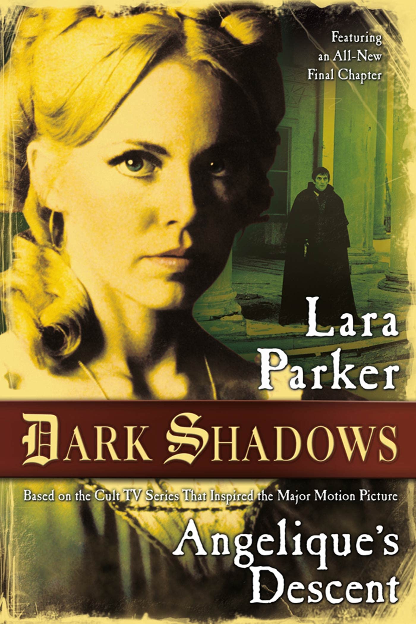 Dark Shadows: Angelique's Descent: Angelique's Descent book cover