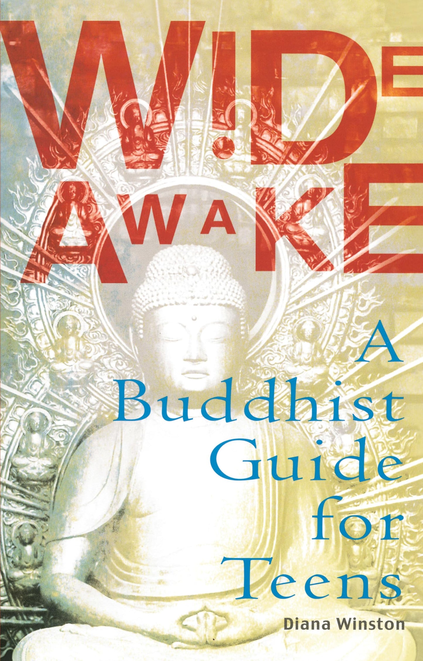 Wide Awake: A Buddhist Guide for Teens book cover