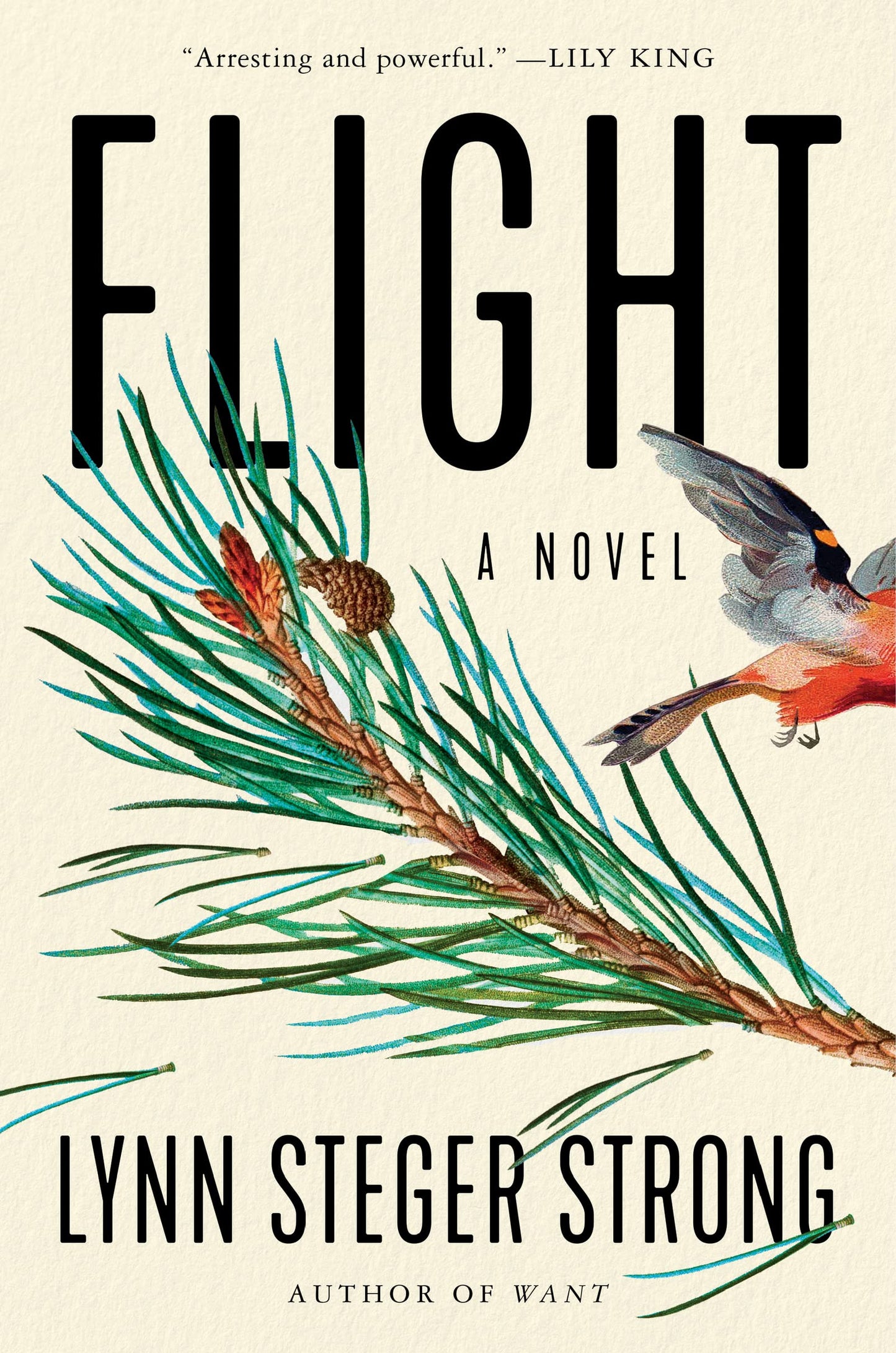 Flight book cover