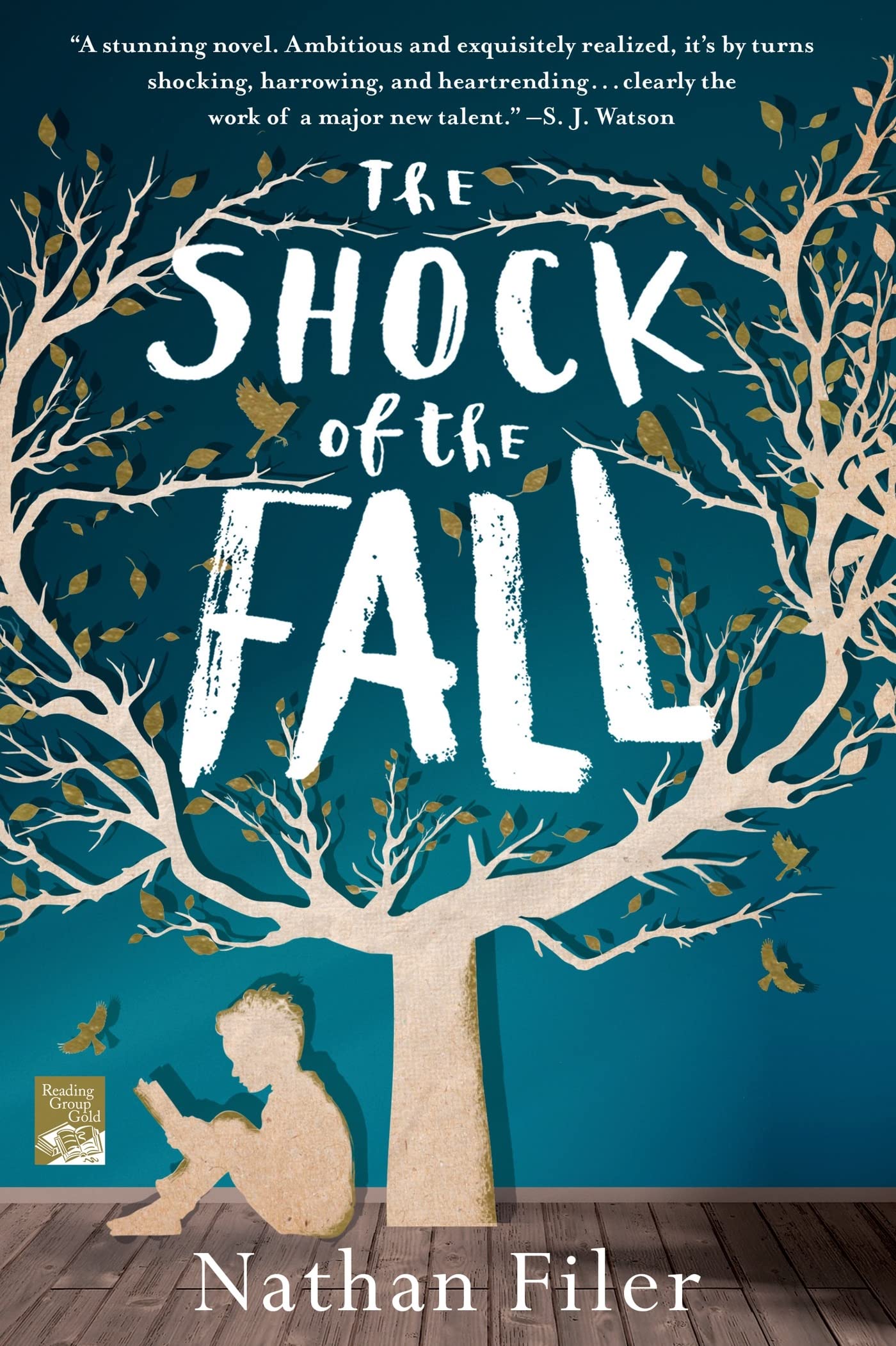 Shock of the Fall book cover