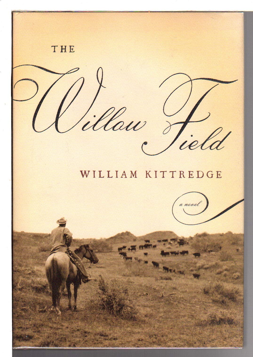 Willow Field book cover